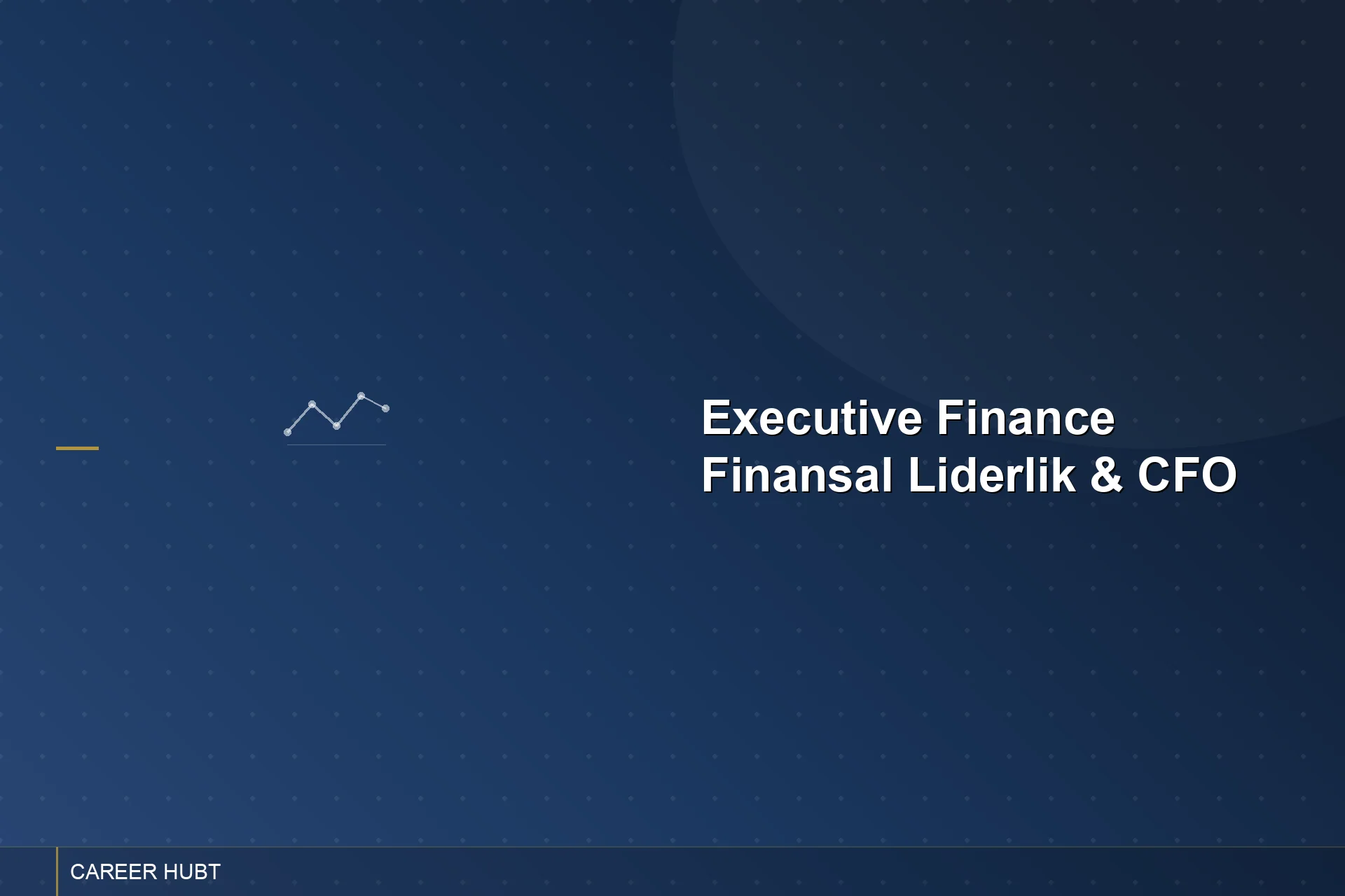 Executive Finance: Finansal Liderlik & CFO Eğitimi